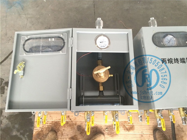 2接頭大流量丙烷終端箱