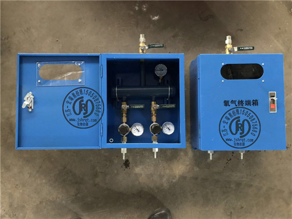 2接口氧氣終端箱